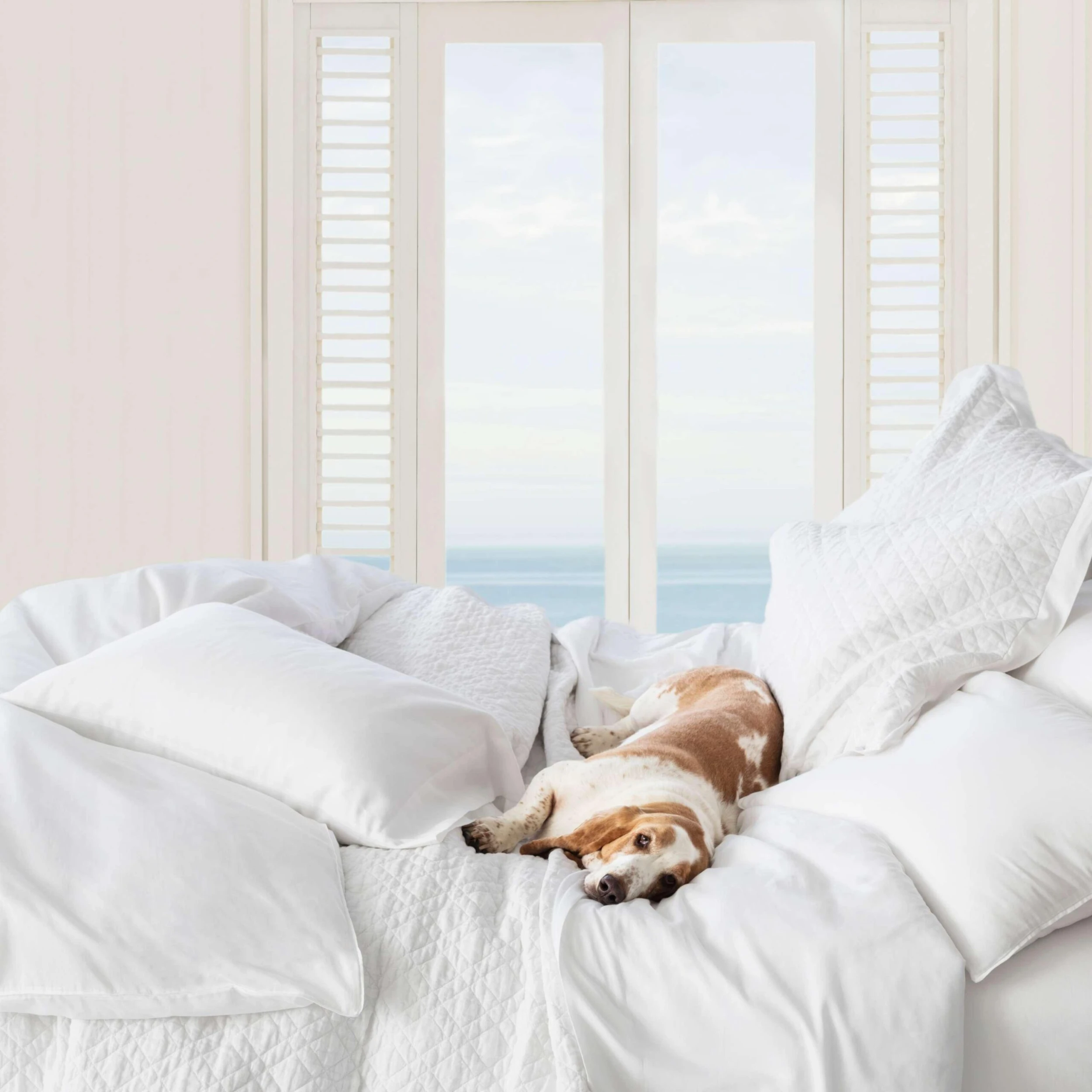 Pine Cone Hill By Annie Selke Washed Linen White Quilt, Full/Queen 6 Pine Cone Hill By Annie Selke Washed Linen White Quilt, Full/Queen - Image 4